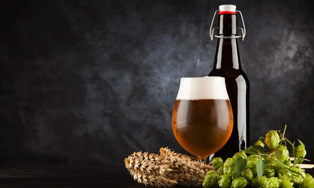 O que é Dry Hopping e Como Fazer na Sua Cerveja