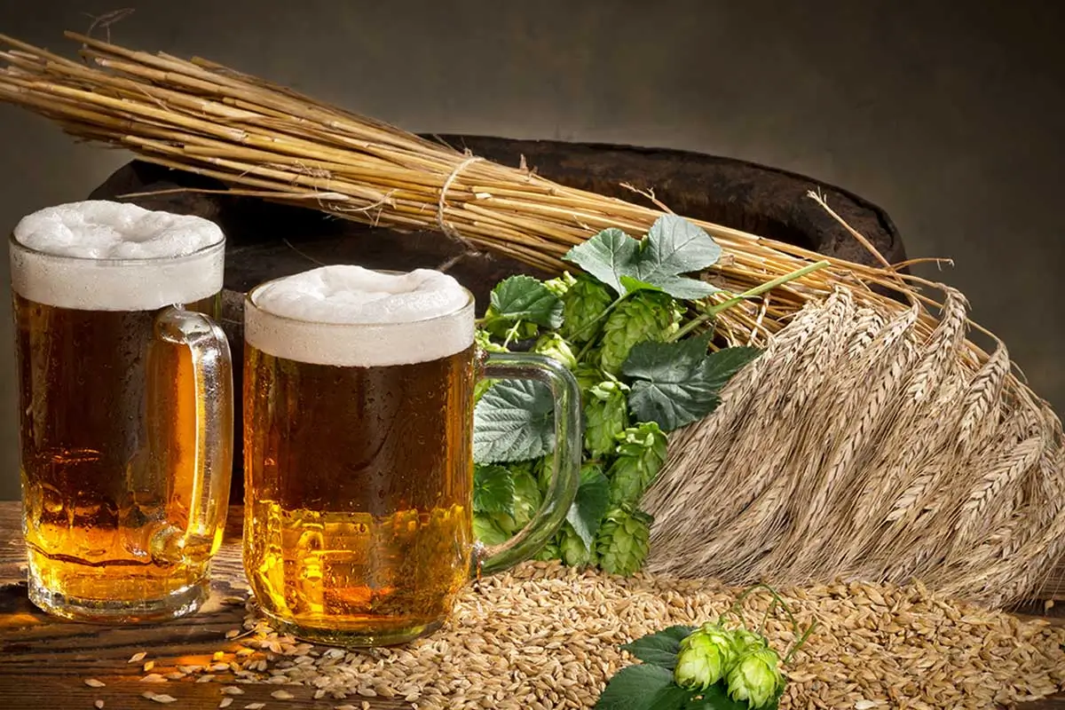 Água, um dos ingredientes básicos da cerveja.