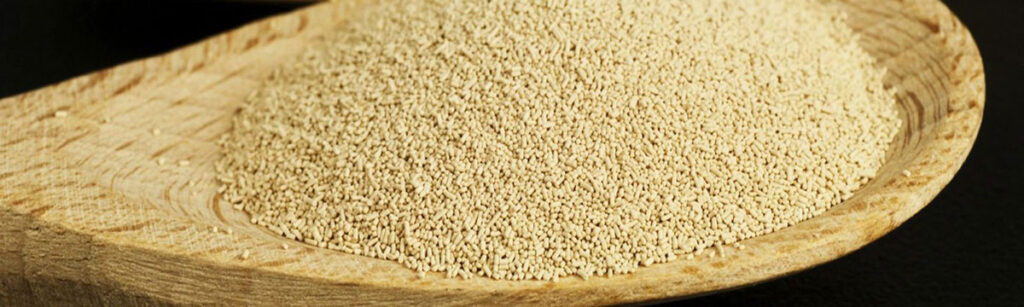 Glossário cervejeiro-Levedura seca para cerveja artesanal caseira.